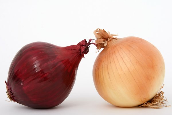 Ссылка кракен сайт зеркало